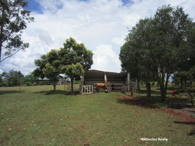 Yungaburra QLD 4884