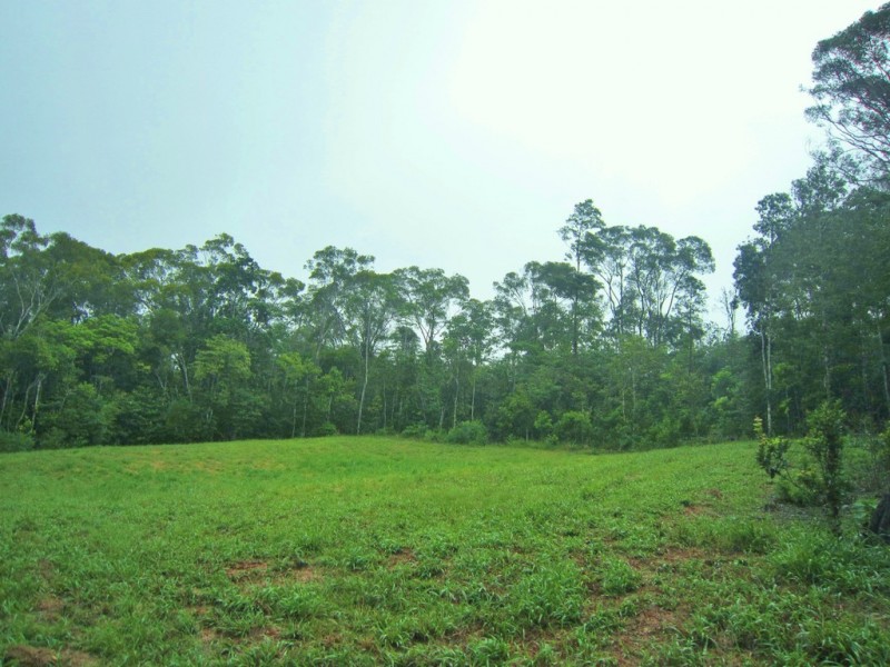 Lake Eacham QLD 4884