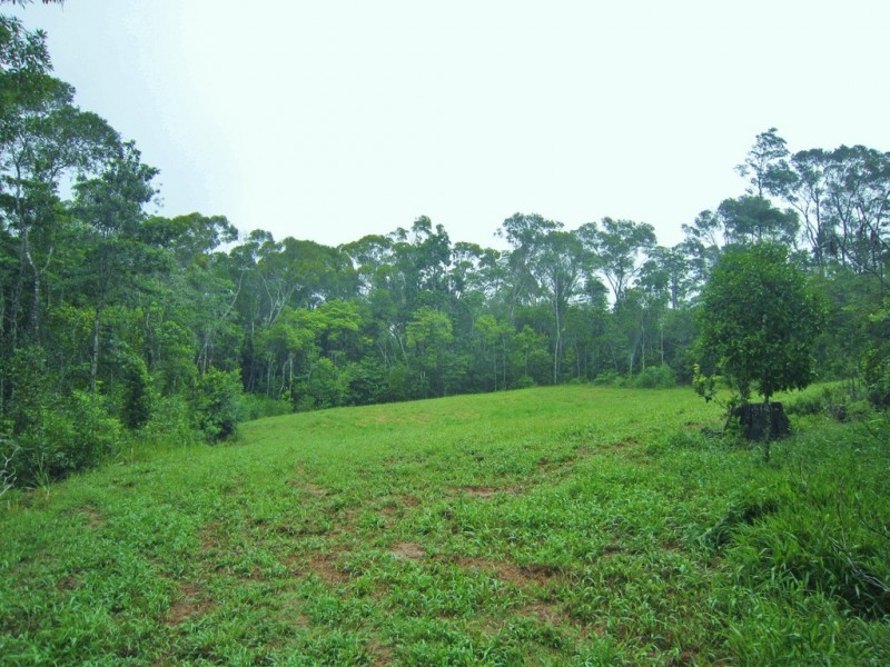 Lake Eacham QLD 4884