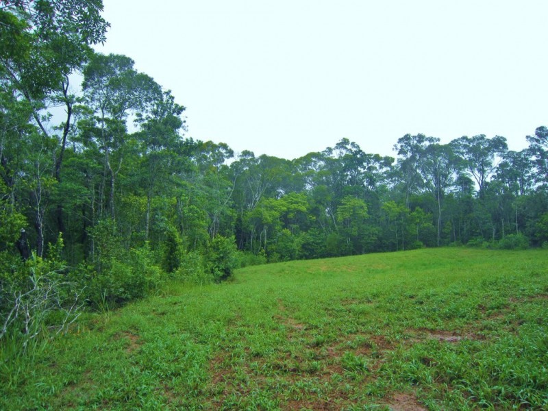 Lake Eacham QLD 4884