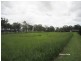 Tolga QLD 4882
