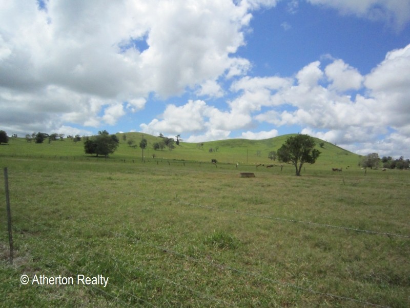 Upper Barron QLD 4883