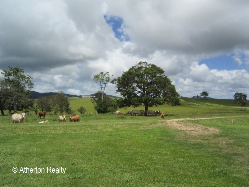 Upper Barron QLD 4883