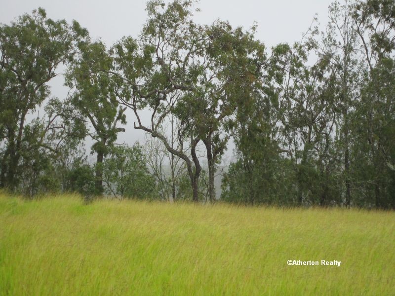 Tolga QLD 4882