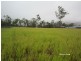 Tolga QLD 4882