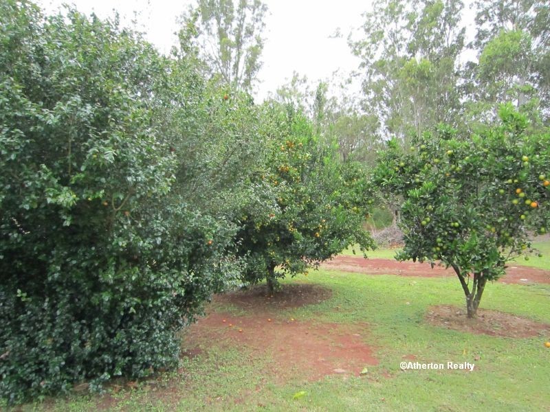 Tolga QLD 4882
