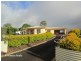 Tolga QLD 4882