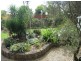 Yungaburra QLD 4884