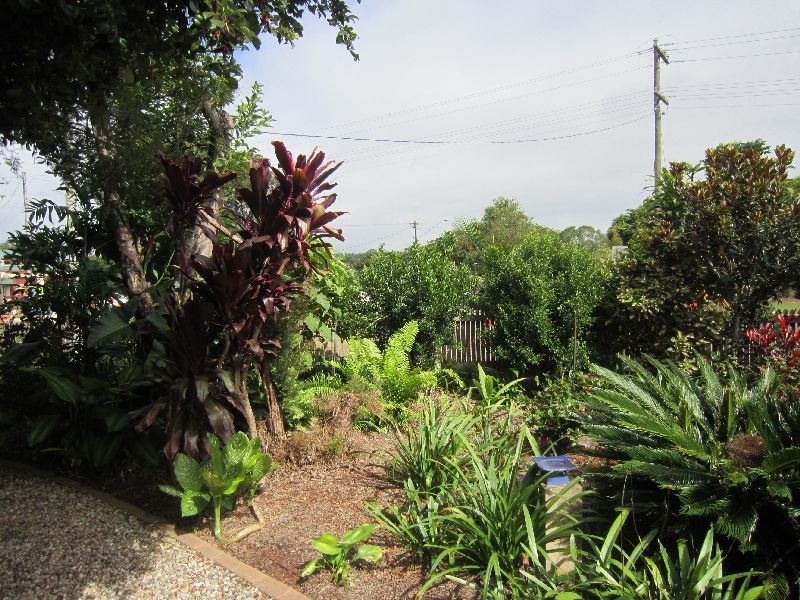 Yungaburra QLD 4884
