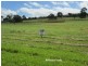 Malanda QLD 4885