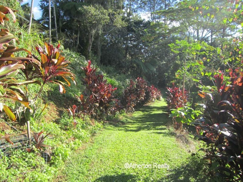 Malanda QLD 4885