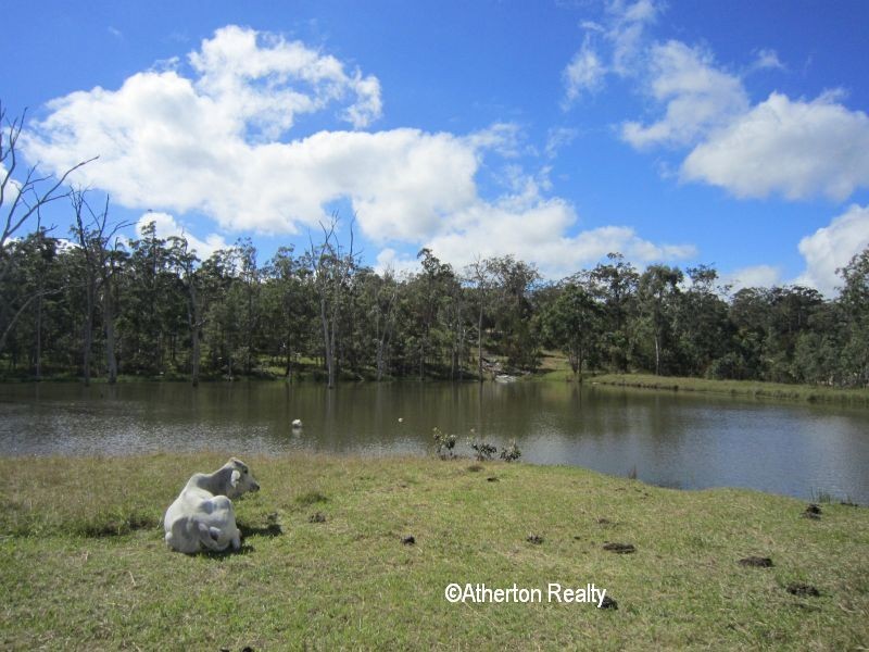 Tumoulin QLD 4888