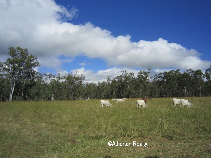 Tumoulin QLD 4888