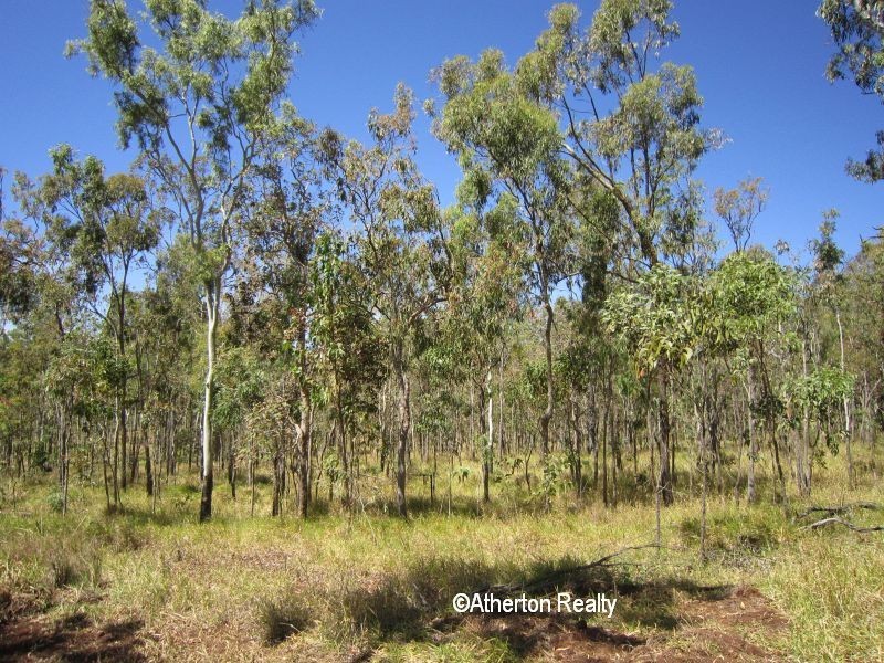 Tolga QLD 4882