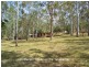 231 Rolley Rd, Wondecla QLD 4887