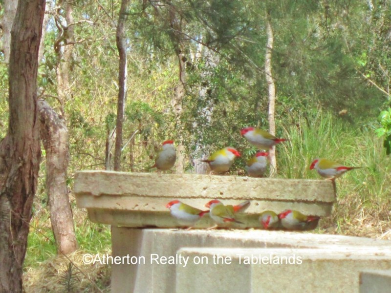 231 Rolley Rd, Wondecla QLD 4887