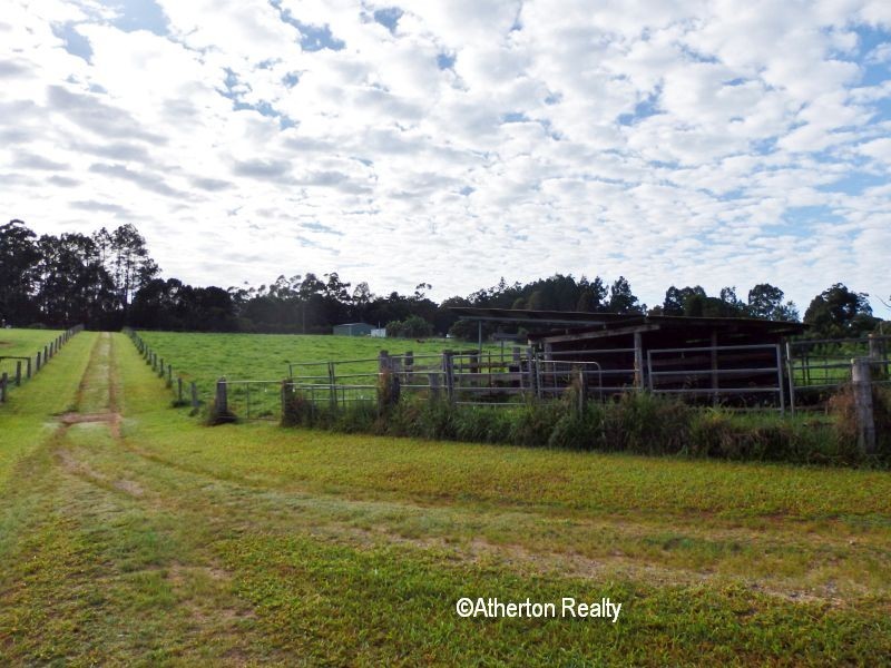 Lake Eacham QLD 4884