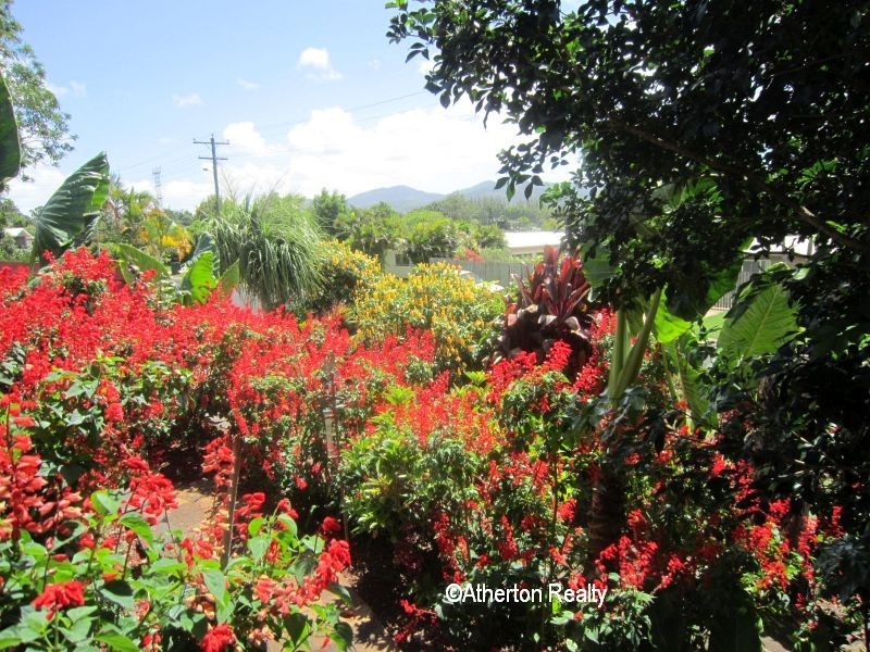 6 Goldview Street, Atherton QLD 4883