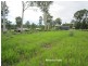 Tolga QLD 4882