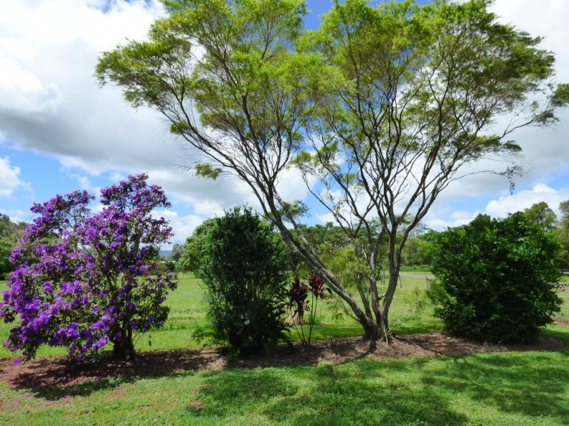 Tolga QLD 4882