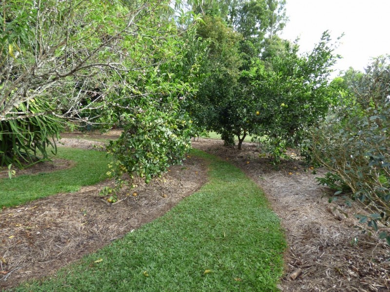 Atherton QLD 4883