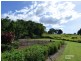 Yungaburra QLD 4884