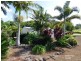 Yungaburra QLD 4884