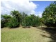 Yungaburra QLD 4884