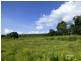 Yungaburra QLD 4884