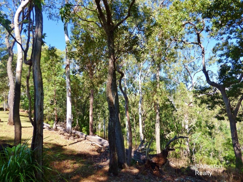 52 Rankine Dr, Tolga QLD 4882