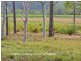 Mareeba QLD 4880