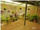 78 McKenzie Rd, Evelyn QLD 4888