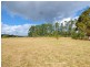 Malanda QLD 4885