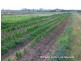 Mareeba QLD 4880