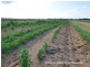 Mareeba QLD 4880