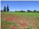 Atherton QLD 4883
