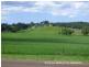 Yungaburra QLD 4884