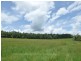 Lake Barrine QLD 4884