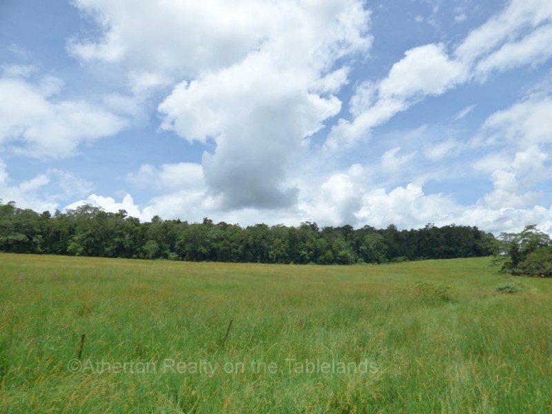 Lake Barrine QLD 4884