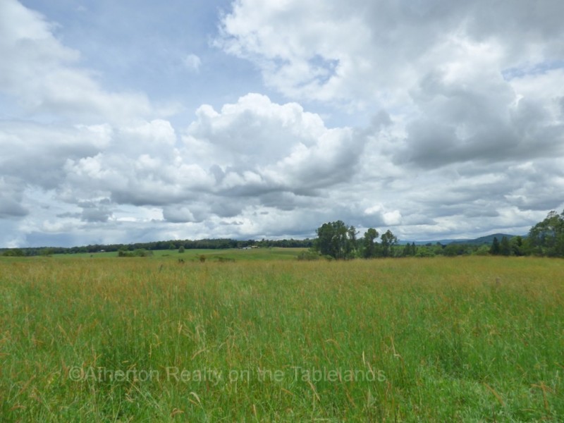 Lake Barrine QLD 4884