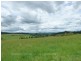 Lake Barrine QLD 4884