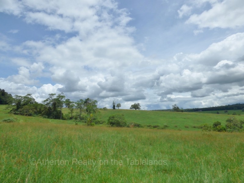 Lake Barrine QLD 4884