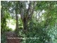 Malanda QLD 4885