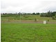 Yungaburra QLD 4884