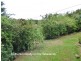 Lake Eacham QLD 4884