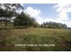 Malanda QLD 4885