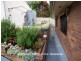 Yungaburra QLD 4884