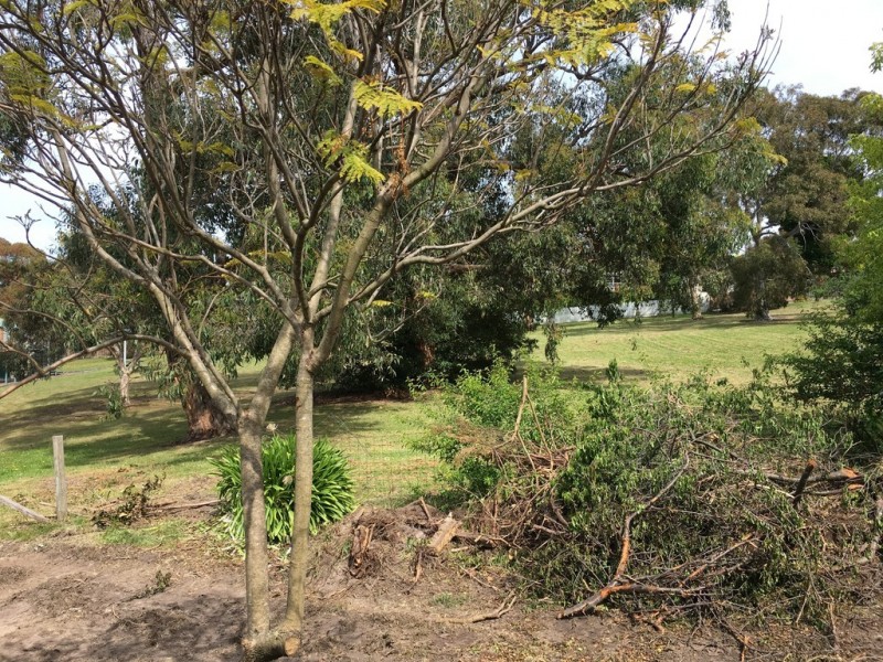 19 Damien Court, Pakenham VIC 3810