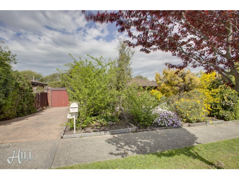105 Darling Way, Narre Warren VIC 3805