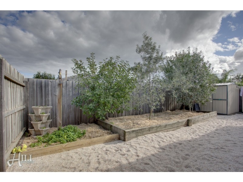 49 Melzak Way, Berwick VIC 3806